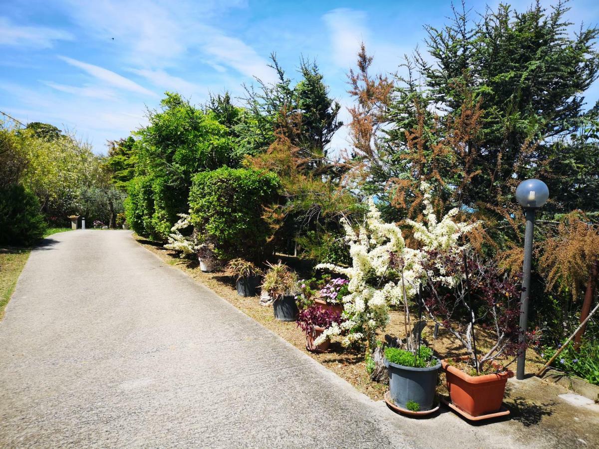 Vacanze Al Mare Appartamento In Villa Torino di Sangro Extérieur photo